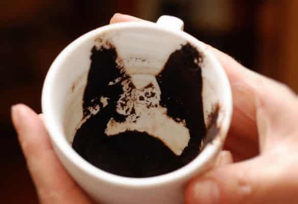 Предсказываем будущее с помощью кофейных зерен и фарфоровой чашки